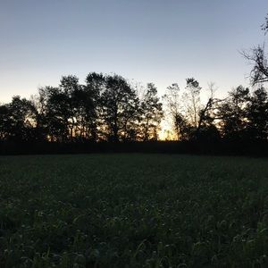 Meet your Posher, Chad